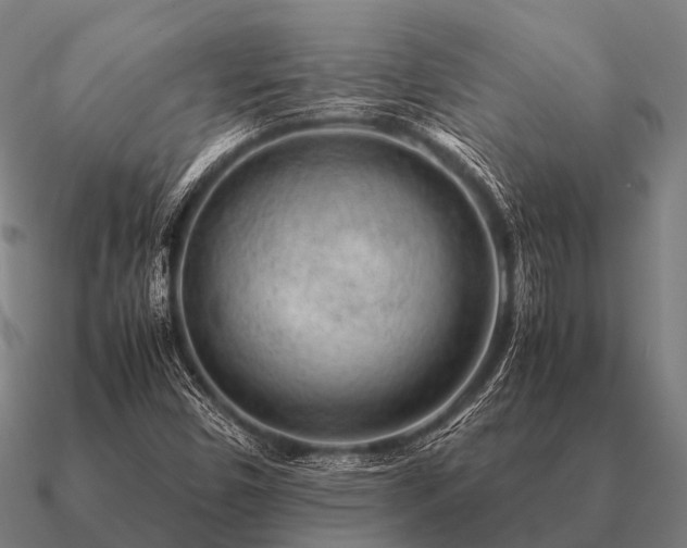 X0000090901450200708061455