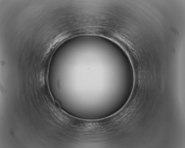 X0000090901451200708061455