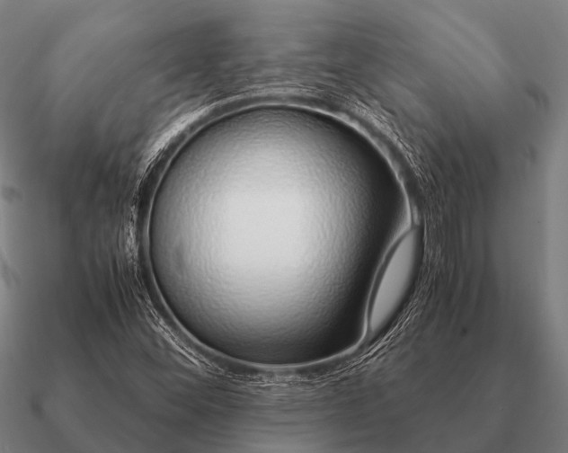 X0000090901452200708061455