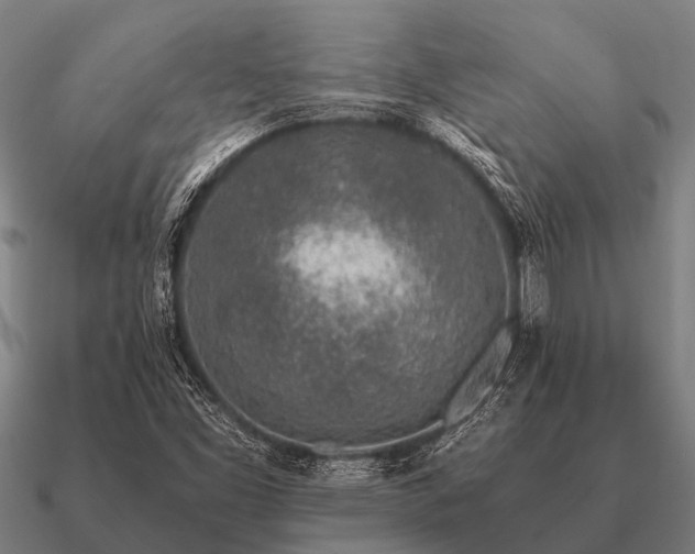 X0000090901453200708061455