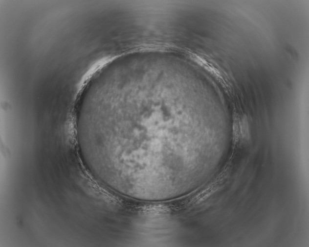 X0000090901454200708061455