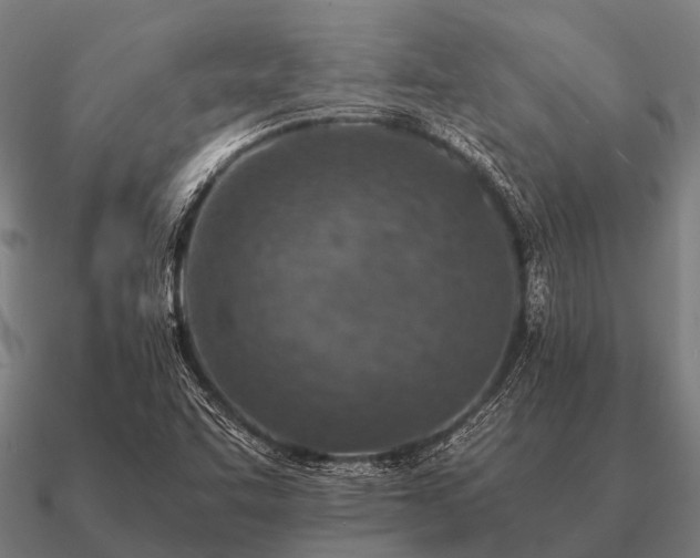 X0000090901455200708061455