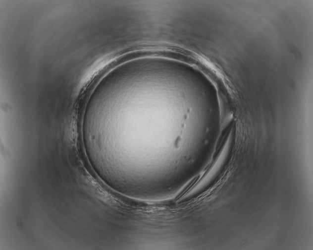 X0000090901456200708061455