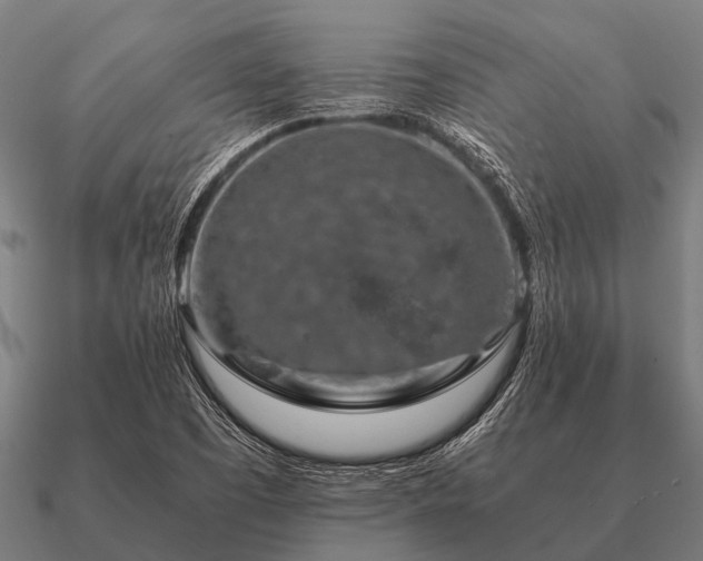 X0000090901457200708061455