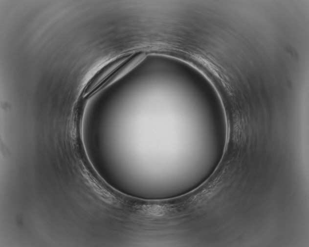 X0000090901458200708061455