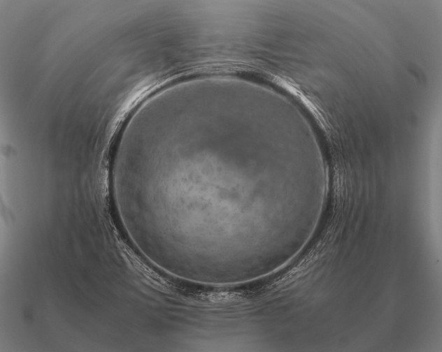 X0000090901459200708061455