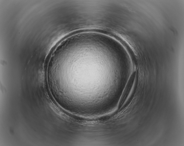 X0000090901460200708061455