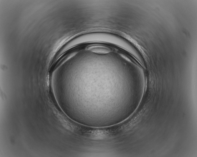 X0000090901461200708061455