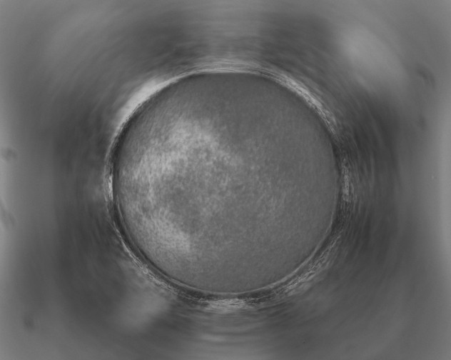 X0000090901462200708061455