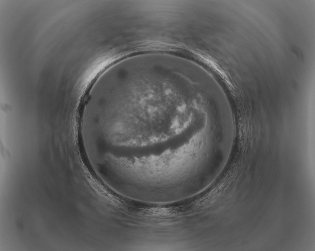 X0000090901463200708061455