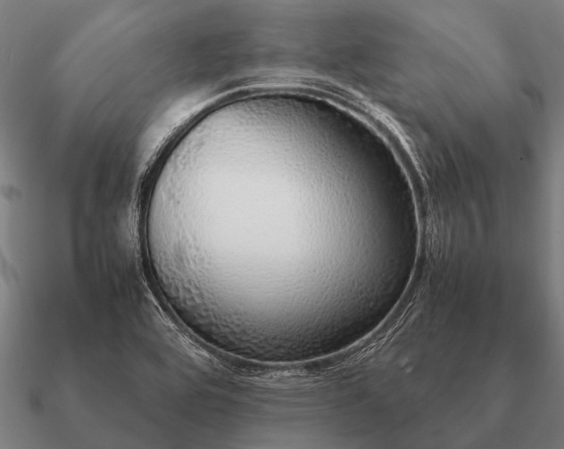 X0000090901464200708061455