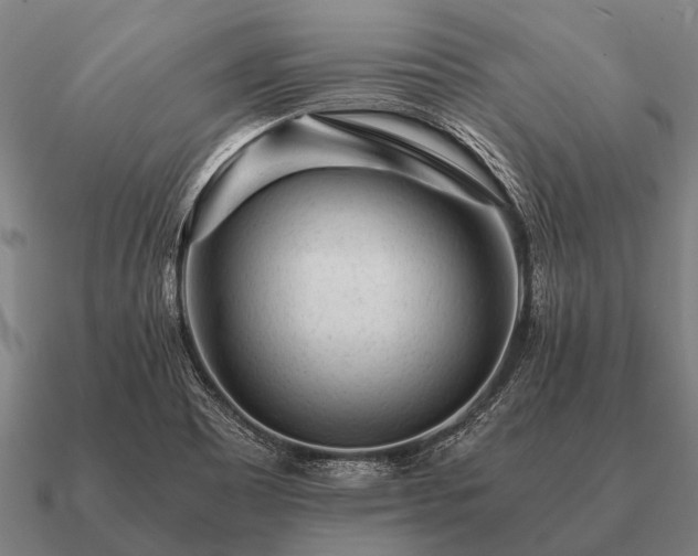 X0000090901465200708061455