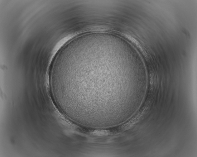 X0000090901466200708061455