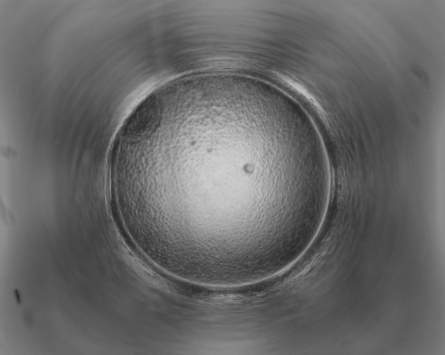 X0000090901467200708061455