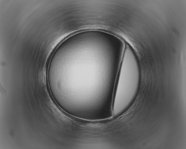 X0000090901468200708061454