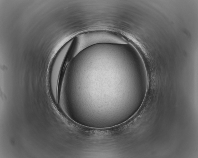 X0000090901469200708061454