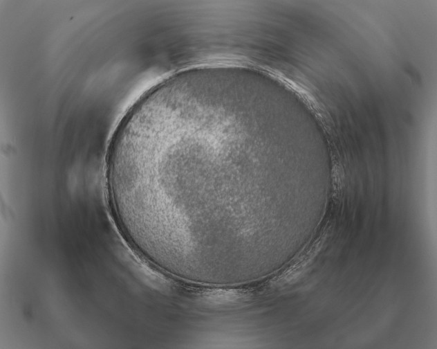 X0000090901470200708061454