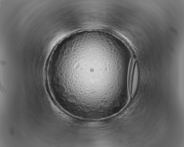 X0000090901471200708061454