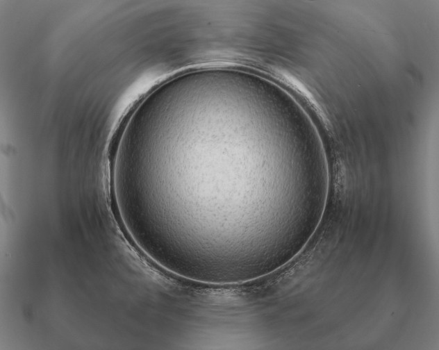 X0000090901472200708061454