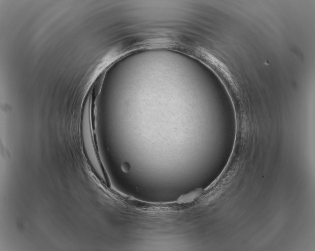 X0000090901473200708061454