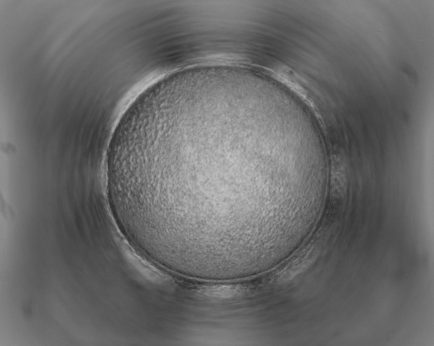 X0000090901474200708061454