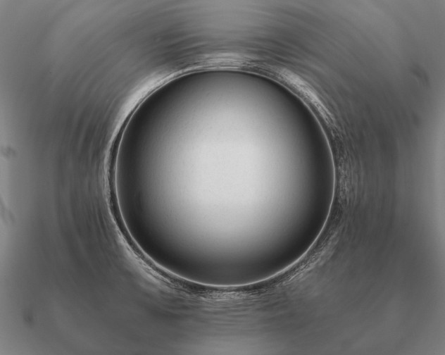 X0000090901475200708061454