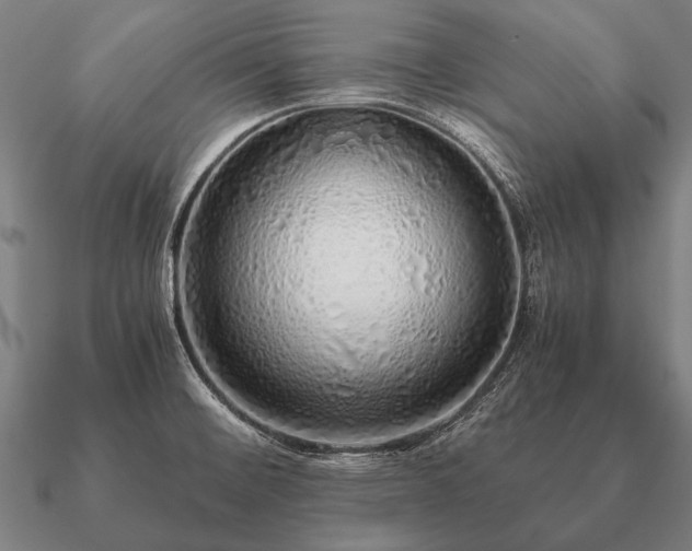 X0000090901476200708061454