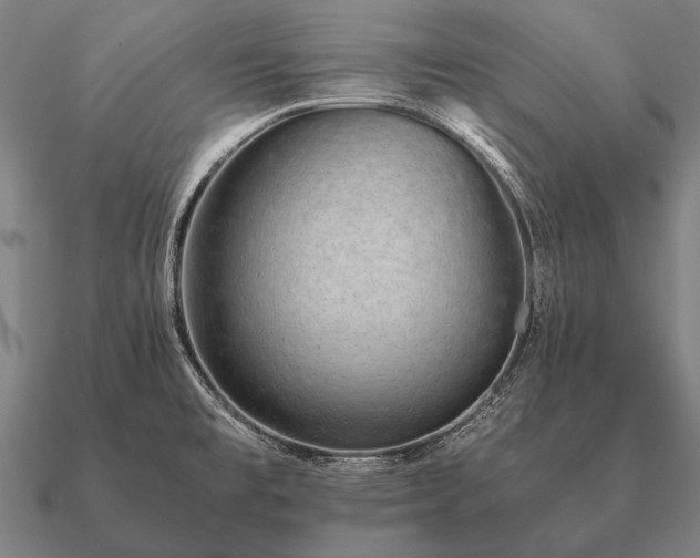 X0000090901477200708061454