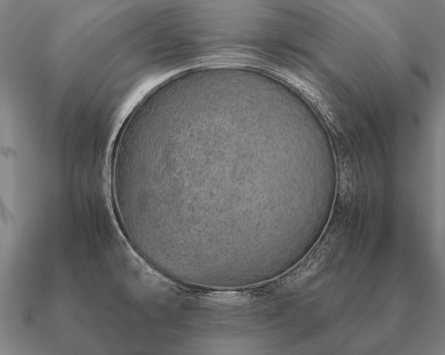 X0000090901478200708061454