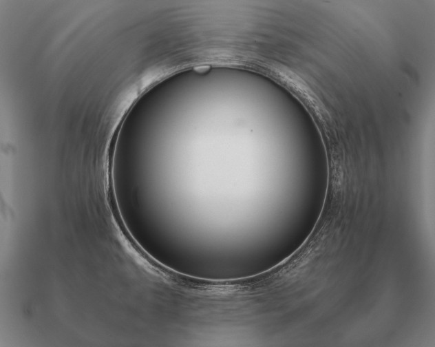 X0000090901479200708061454