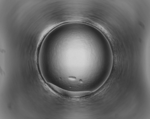 X0000090901480200708061454