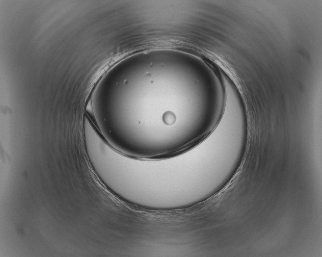 X0000090901481200708061454