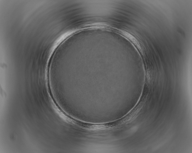 X0000090901482200708061454