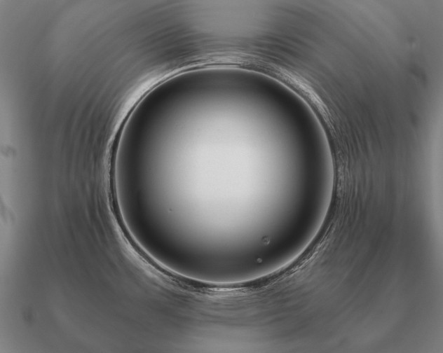 X0000090901483200708061454