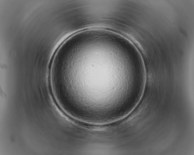 X0000090901484200708061454