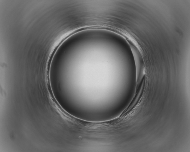 X0000090901485200708061454