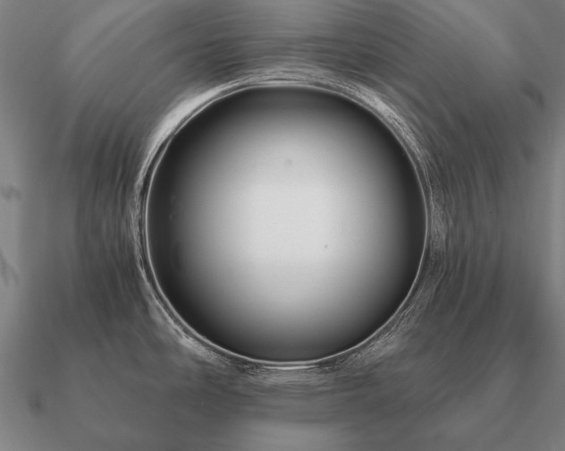 X0000090901486200708061454