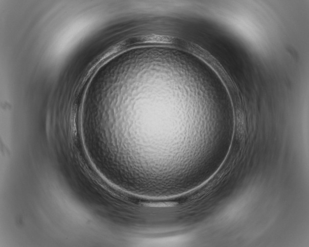 X0000090901487200708061454