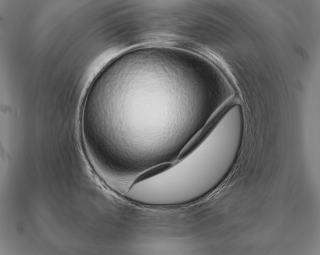 X0000090901488200708061454