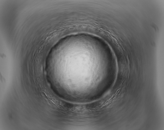 X0000090901489200708061454