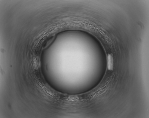 X0000090901491200708061454