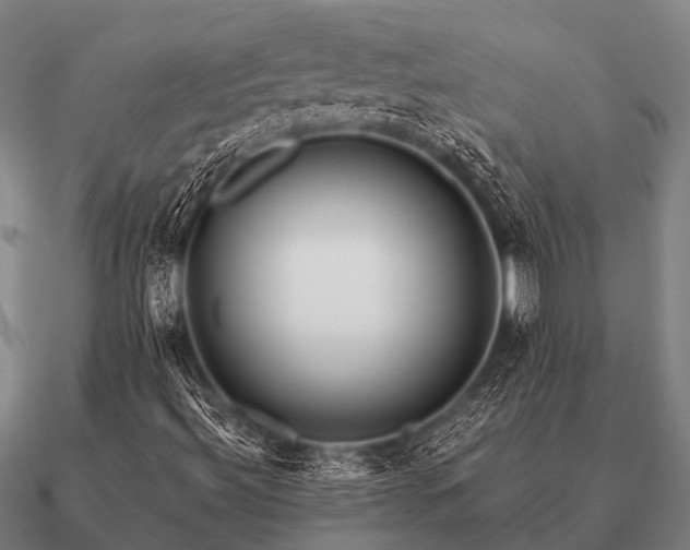 X0000090901492200708061454