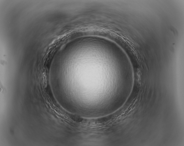 X0000090901493200708061454