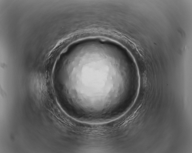 X0000090901494200708061454