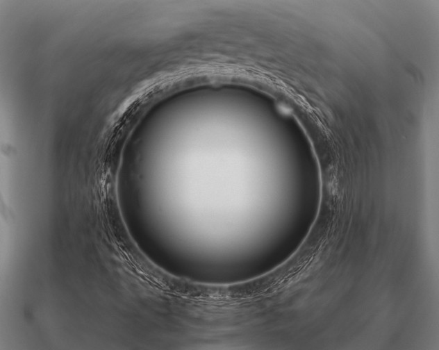 X0000090901495200708061454