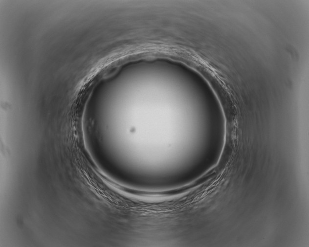 X0000090901496200708061454