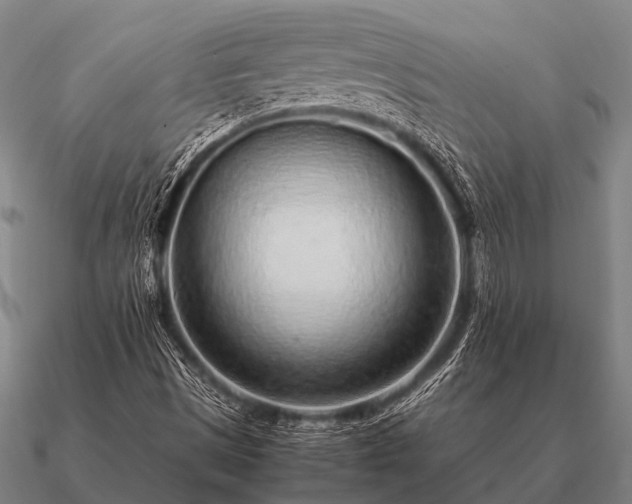 X0000090901497200708061454