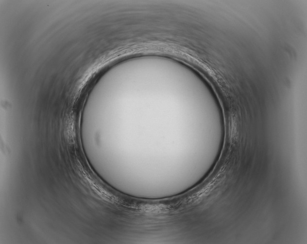 X0000090901498200708061454