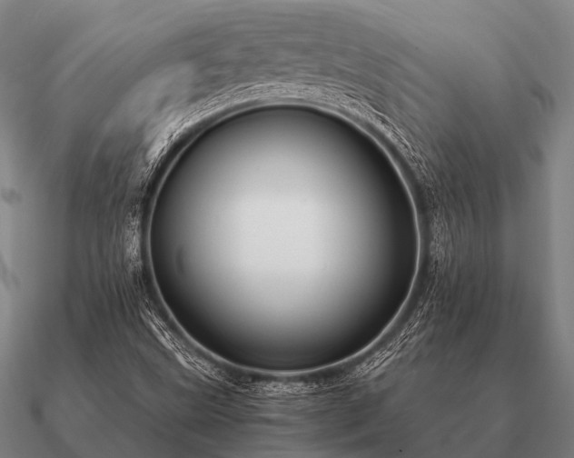 X0000090901499200708061454