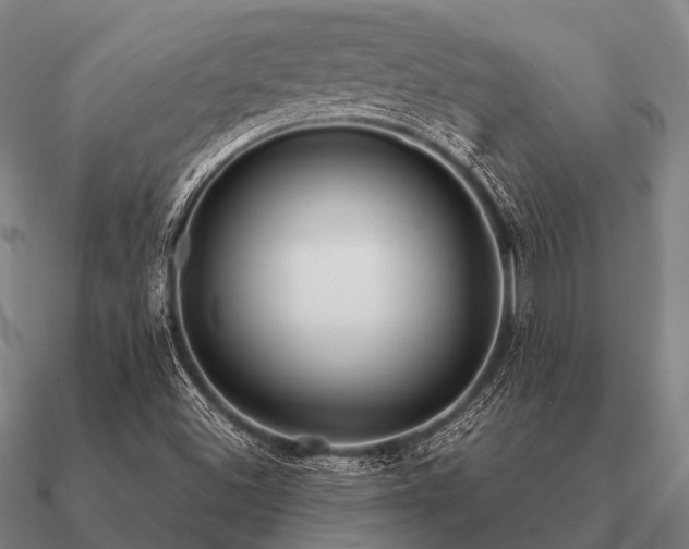 X0000090901500200708061454